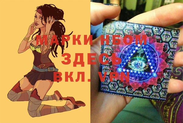 тгк Беломорск