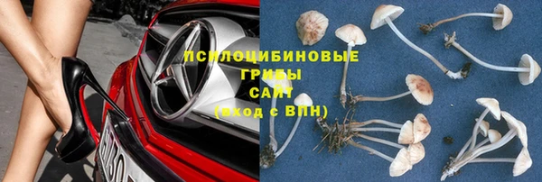 тгк Беломорск