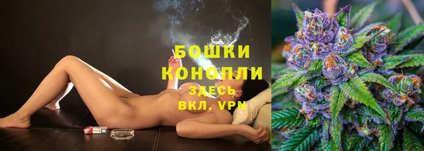 МДПВ Богородицк